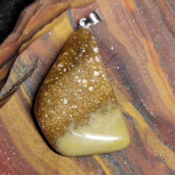 Opalized Petwood Anhänger